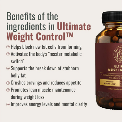 The Dream Body Stack™