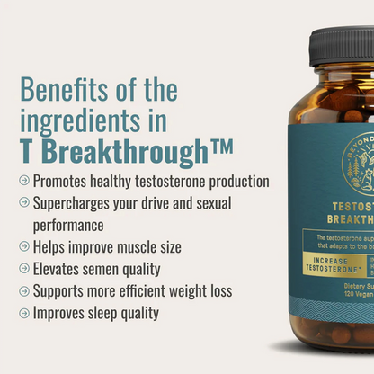 The Dream Body Stack™