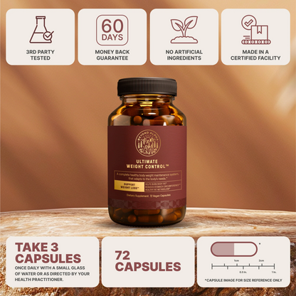 The Dream Body Stack™