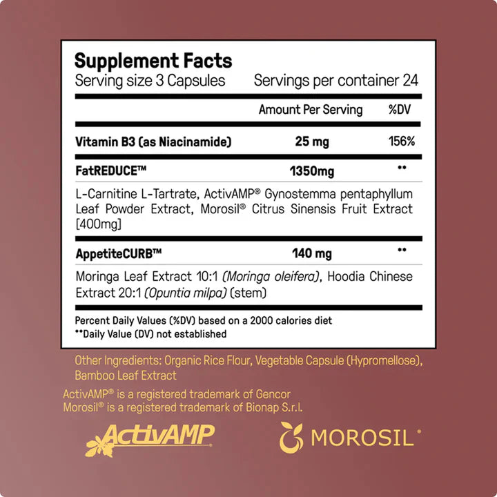 The Dream Body Stack™